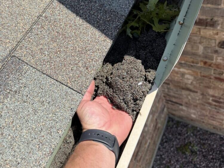 clogged gutters